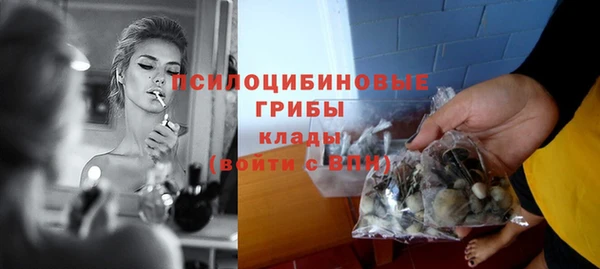 спиды Алексин