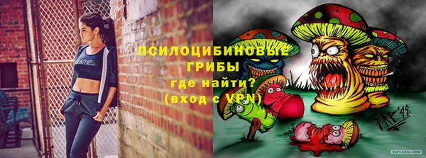 спиды Алексин