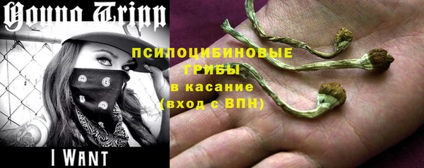спиды Алексин