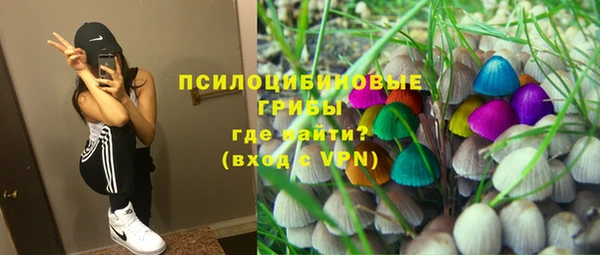 дмт Алексеевка