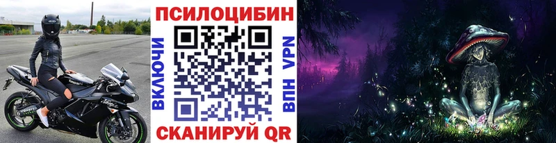 что такое   Далматово  Псилоцибиновые грибы прущие грибы 