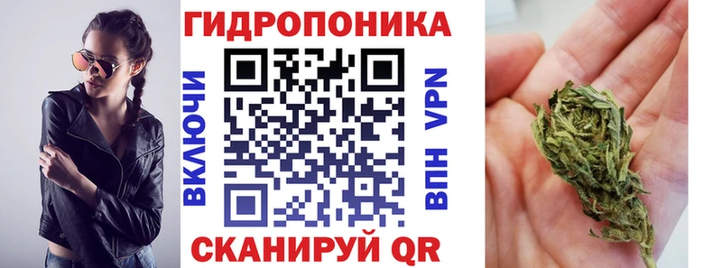 Бошки Шишки тримм Далматово